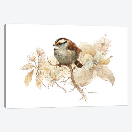 Sparrow Vignette Canvas Print #GIO42} by Giordano Studios Canvas Artwork