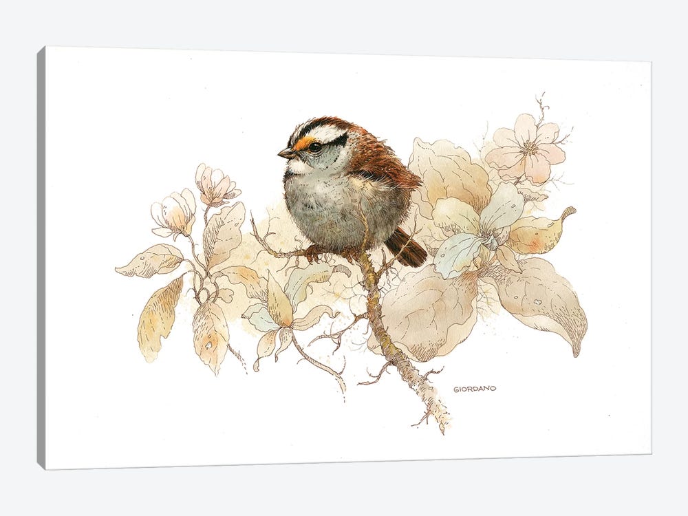 Sparrow Vignette by Giordano Studios 1-piece Canvas Art