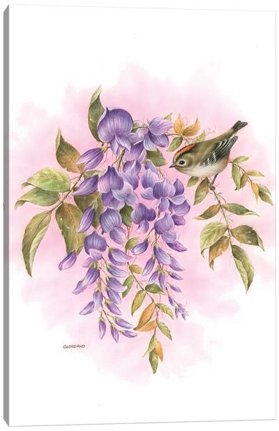 Spring's Blossom Canvas Art Print - Sparrow Art