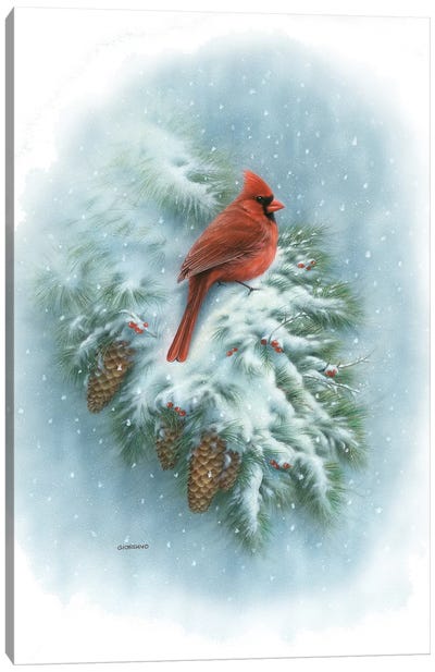 Winter Vignette Canvas Art Print - Cardinal Art