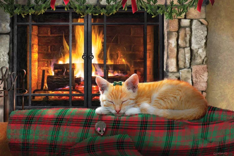 Asleep By The Fire