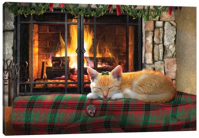 Asleep By The Fire Canvas Art Print - Orange Cat Art