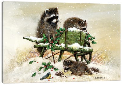 Bandits On The Wagon Canvas Art Print - Raccoon Art