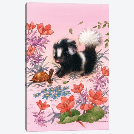 Baby Skunk Canvas Print #GIO4} by Giordano Studios Canvas Art Print
