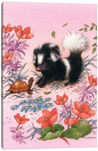 Baby Skunk Canvas Art Print - Skunks