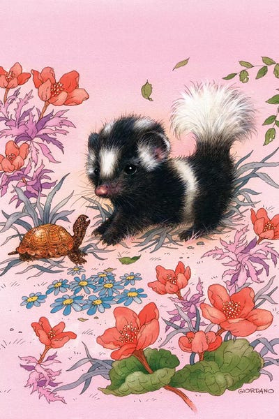 Skunks: Baby Skunk by Giordano Studios