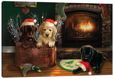 Fireside Lab Trio Canvas Art Print - Puppy Art