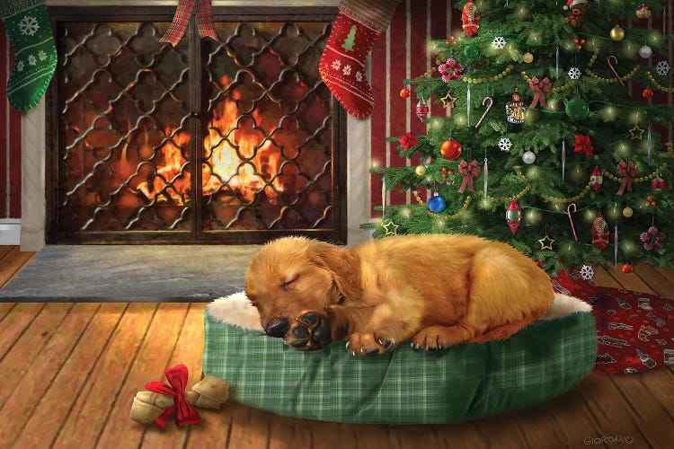 I Need A Nap by Giordano Studios wall art