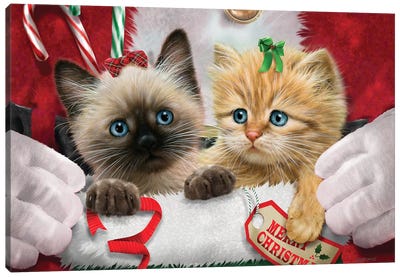 Santa's Surprise Canvas Art Print - Kitten Art