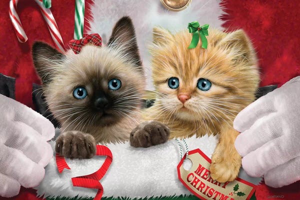 Kittens: Santa's Surprise by Giordano Studios