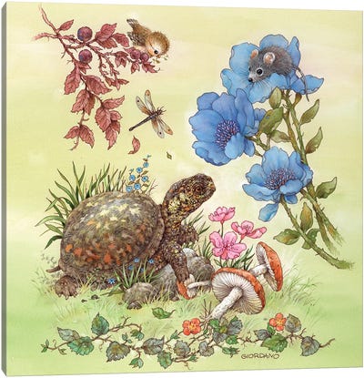 Backyard Critters Canvas Art Print - Turtle Art