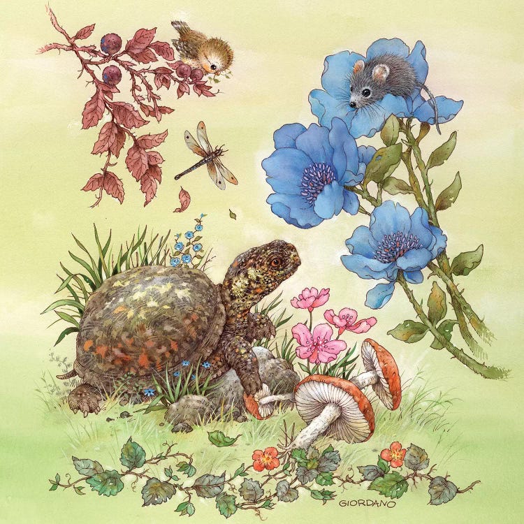 Backyard Critters by Giordano Studios wall art