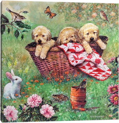 Basket Of Cheer Canvas Art Print - Puppy Art