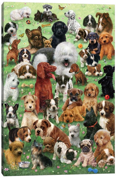 Field O Puppies Canvas Art Print - Puppy Art
