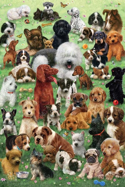 Puppies: Field O Puppies by Giordano Studios