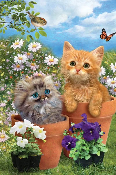 Kittens: I Spy A Kinglet by Giordano Studios