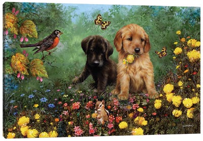 Labs In The Meadow Canvas Art Print - Puppy Art