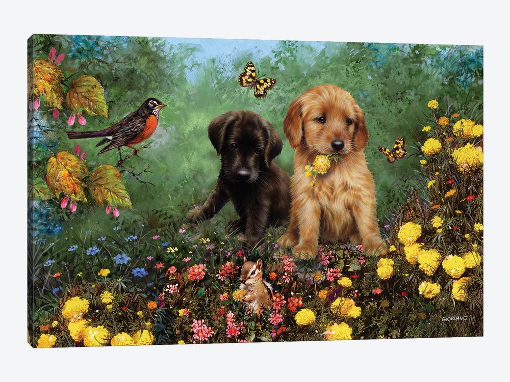 Labs In The Meadow by Giordano Studios 1-piece Canvas Artwork