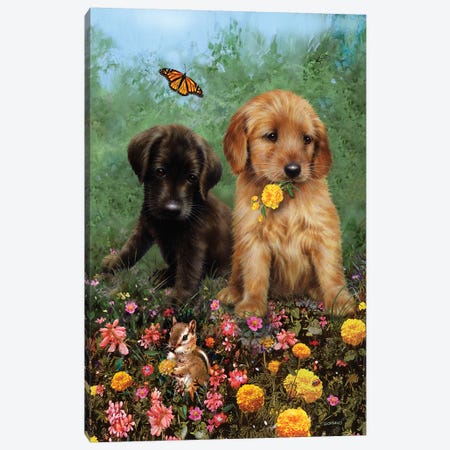 Labs In The Meadow Canvas Print #GIO94} by Giordano Studios Canvas Art