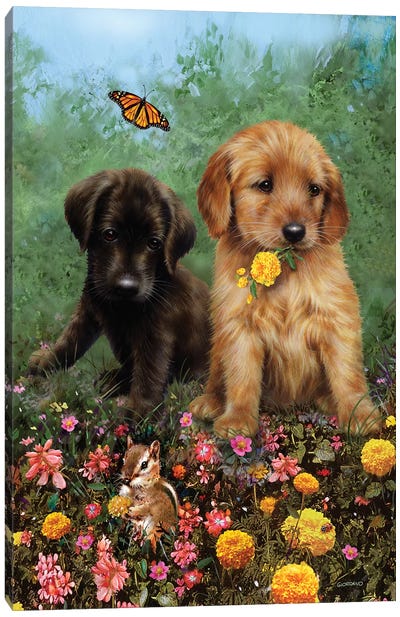 Labs In The Meadow Canvas Art Print - Puppy Art