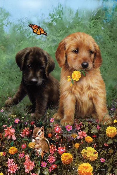 Puppies: Labs In The Meadow by Giordano Studios