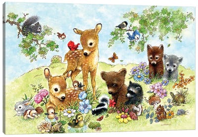 Field Of Critters Canvas Art Print - Raccoon Art