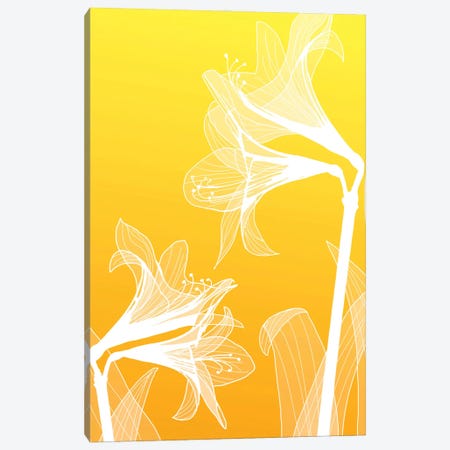 Floral III Canvas Print #GIS7} by GraphINC Studio Canvas Wall Art