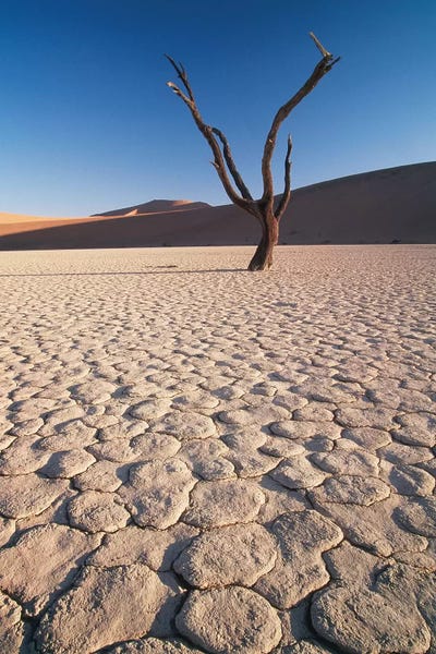 Namibia: Desert Landscape, Sossusvlei, Namib Desert, Namib-Naukluft Park, Namibia by Gavriel Jecan