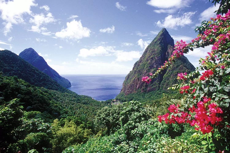 Coastal Landscape, Pitons Bay, Saint Lucia