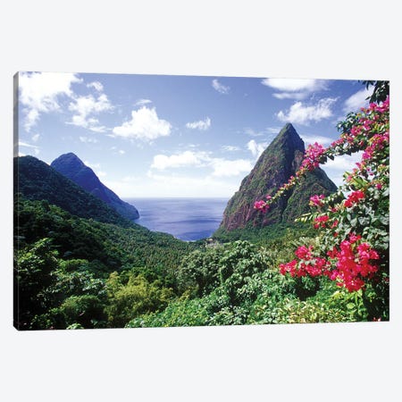 Coastal Landscape, Pitons Bay, Saint Lucia Canvas Print #GJO1} by Greg Johnston Canvas Art Print