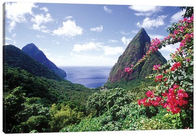 Coastal Landscape, Pitons Bay, Saint Lucia Canvas Art Print - Saint Lucia