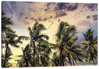 Palm Trees Along The Coastal Road, Going Into The Mountains, Bali, Indonesia Canvas Art Print