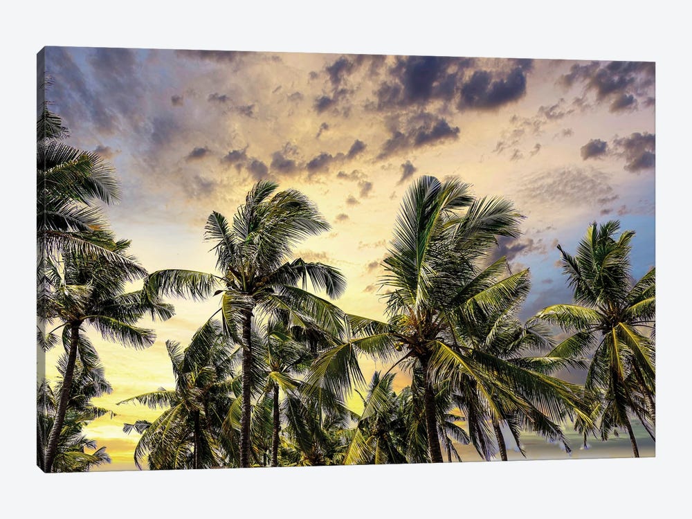 Palm Trees Along The Coastal Road, Going Into The Mountains, Bali, Indonesia by Greg Johnston 1-piece Art Print