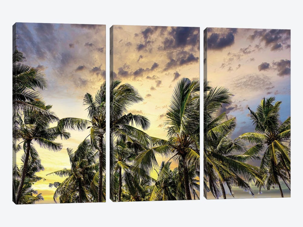 Palm Trees Along The Coastal Road, Going Into The Mountains, Bali, Indonesia by Greg Johnston 3-piece Canvas Print