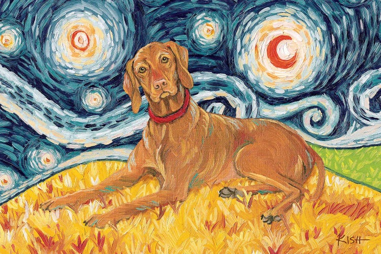 Vizsla On A Starry Night