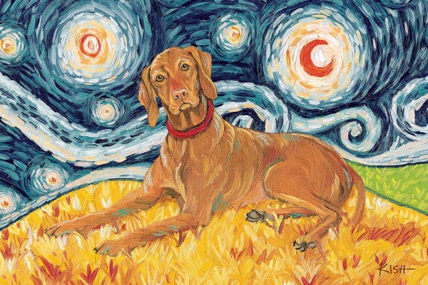 Vizsla On A Starry Night