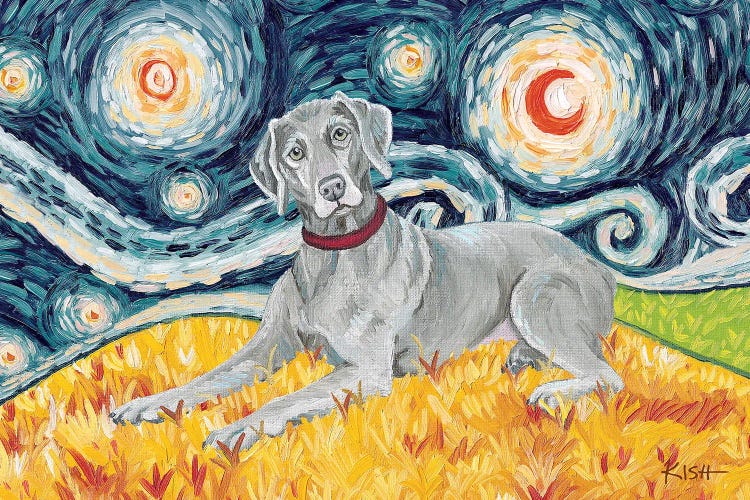 Weimaraner On A Starry Night