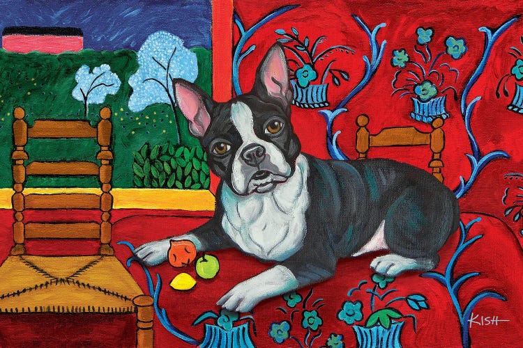 Boston Terrier Muttisse