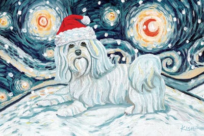 Havanese