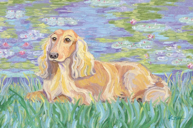 Dachshund Bonét