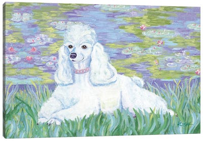Poodle Bonét Canvas Art Print - Poodle Art