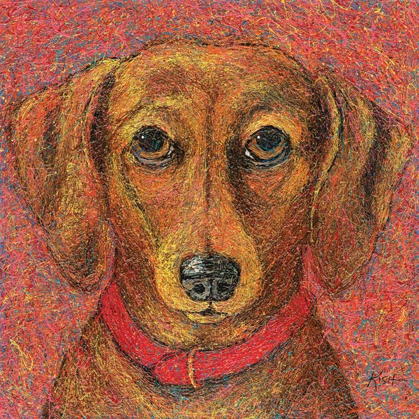 Dachshund Drip