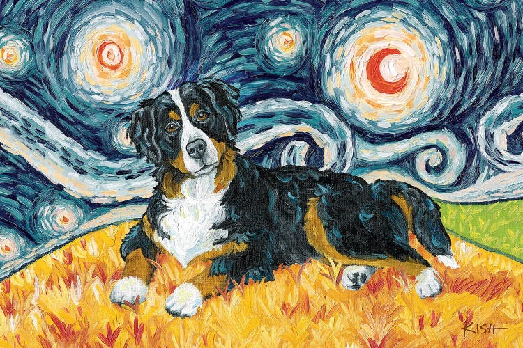 Bernese Mountain Dog On A Starry Night