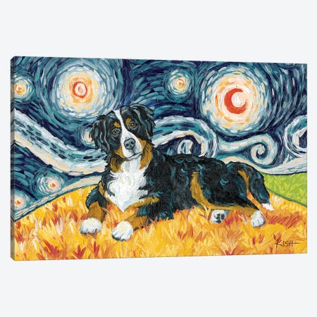 Bernese Mountain Dog On A Starry Night Canvas Print #GKS24} by Gretchen Kish Serrano Canvas Art