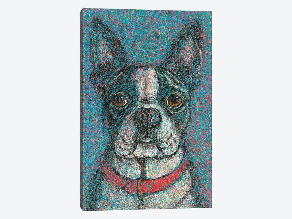 Boston Terrier Drip by Gretchen Kish Serrano 1-piece Art Print