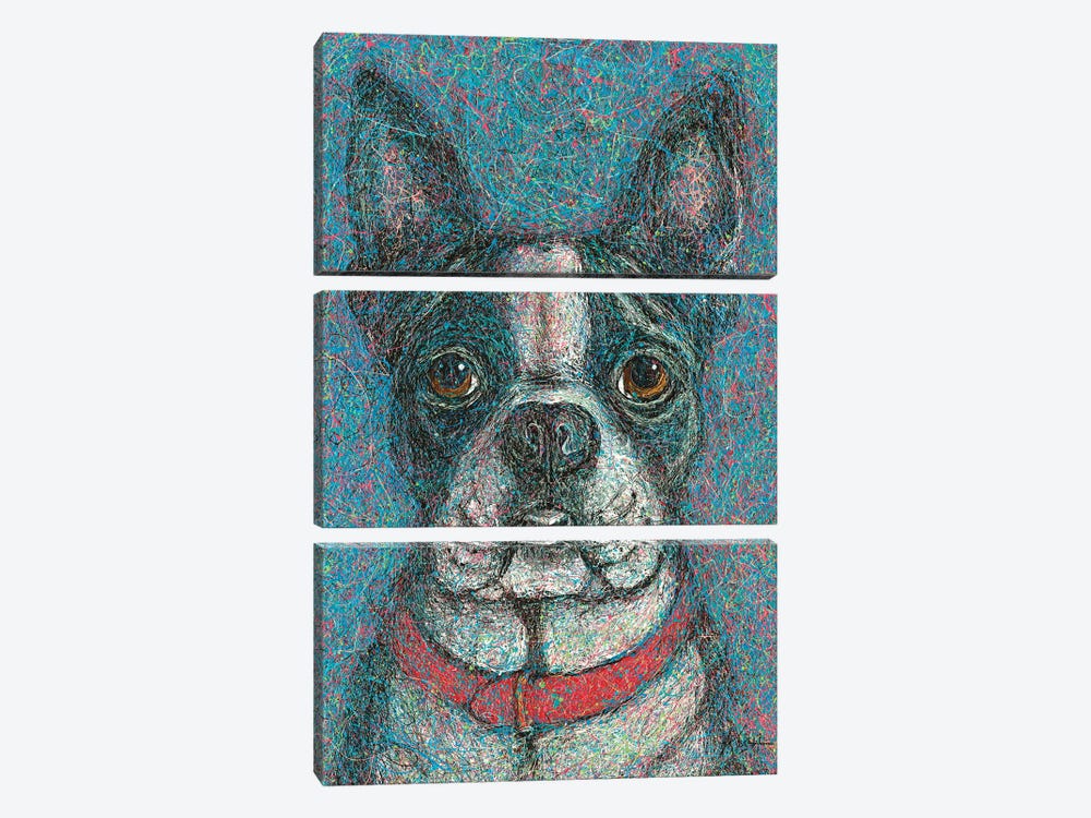 Boston Terrier Drip by Gretchen Kish Serrano 3-piece Canvas Art Print