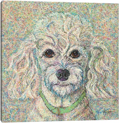 Poodle Drip Canvas Art Print - Poodle Art