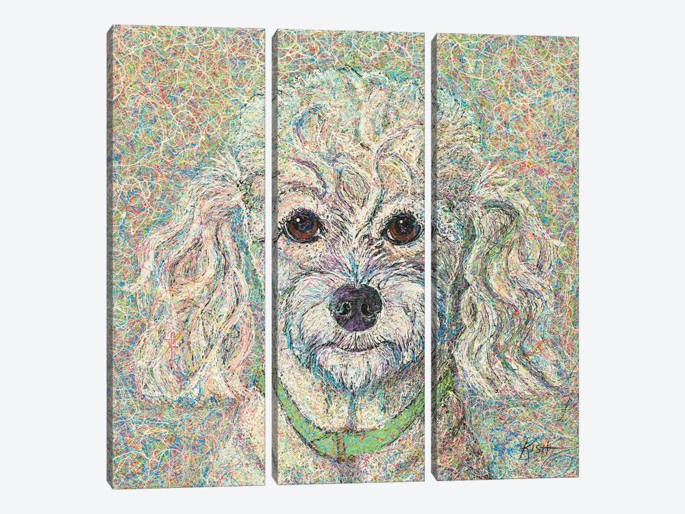 Poodle Drip 3-piece Canvas Art Print