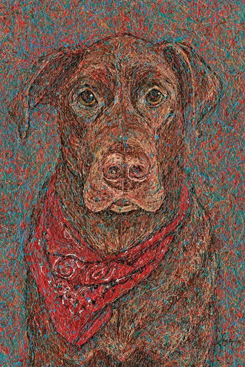 Chocolate Lab Drip
