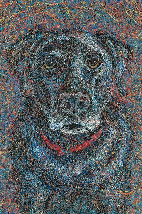 Black Lab Drip